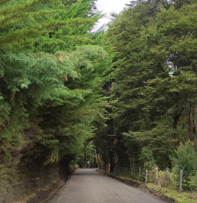 Cabana Ensenada, Puerto Varas - 1 Ambiente Εξωτερικό φωτογραφία